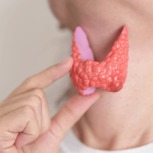 Thyroid Gland Screening Package